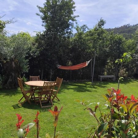 Sotam Country House En342 Góis エクステリア 写真